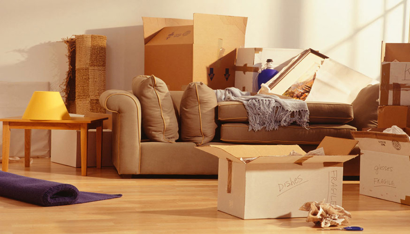 movers and packers Vadodara