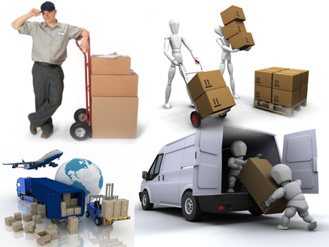 movers and packers Vadodara